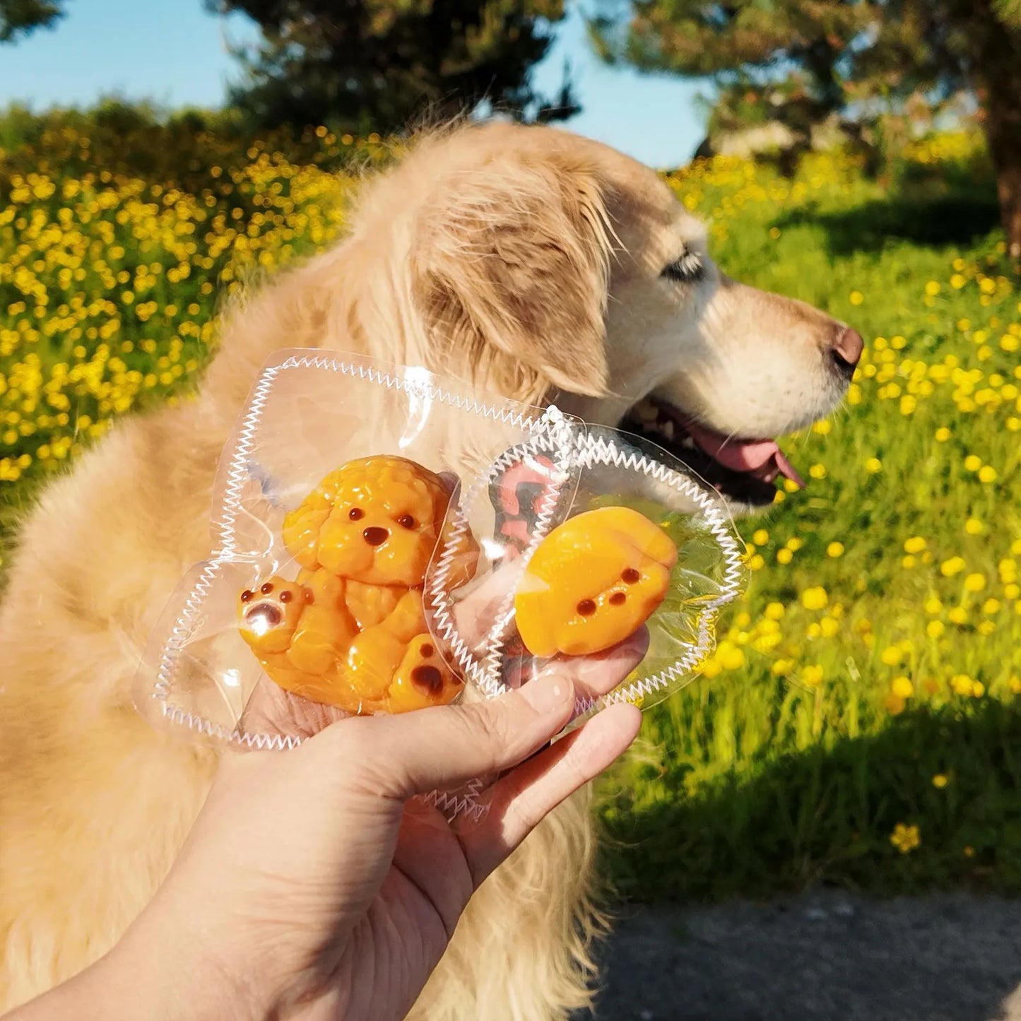Handmade Puppy Taba Squishy