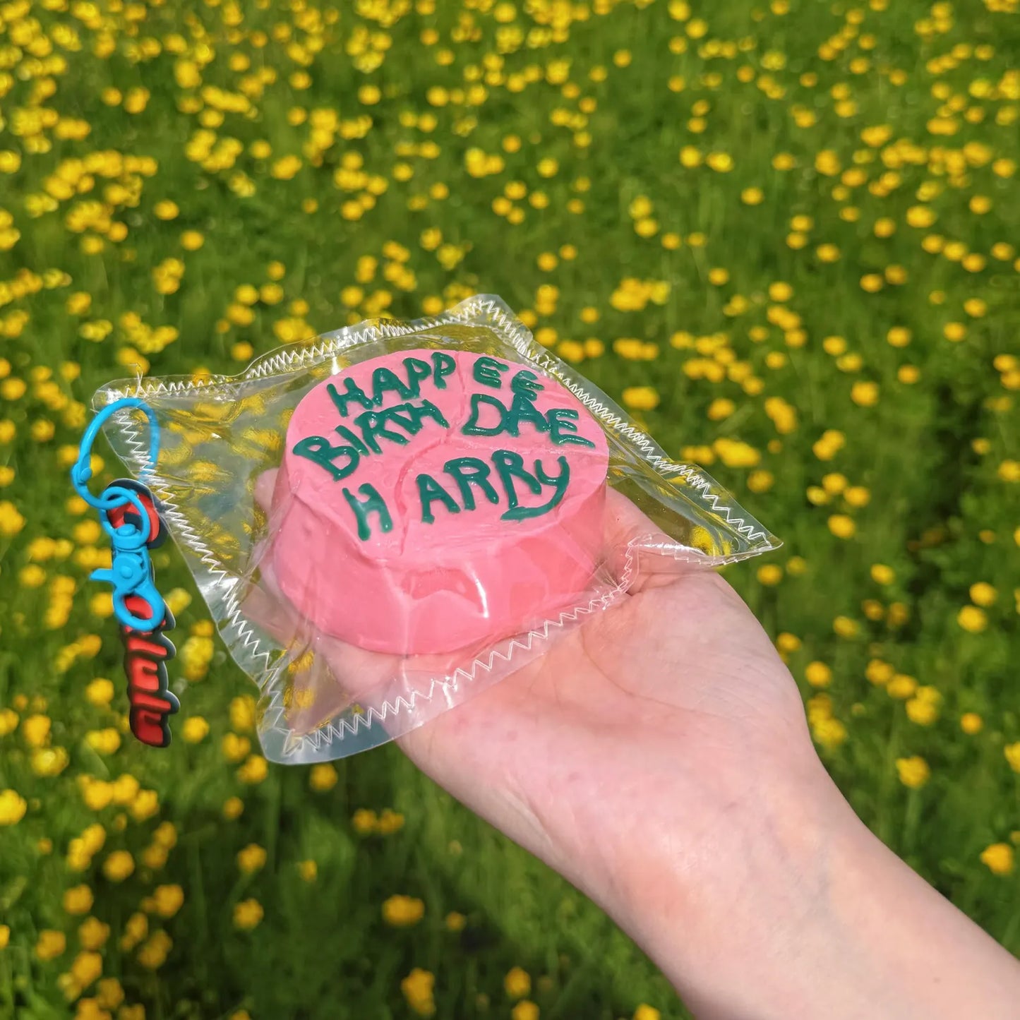 Taba Squishy Harry Birthday Cake