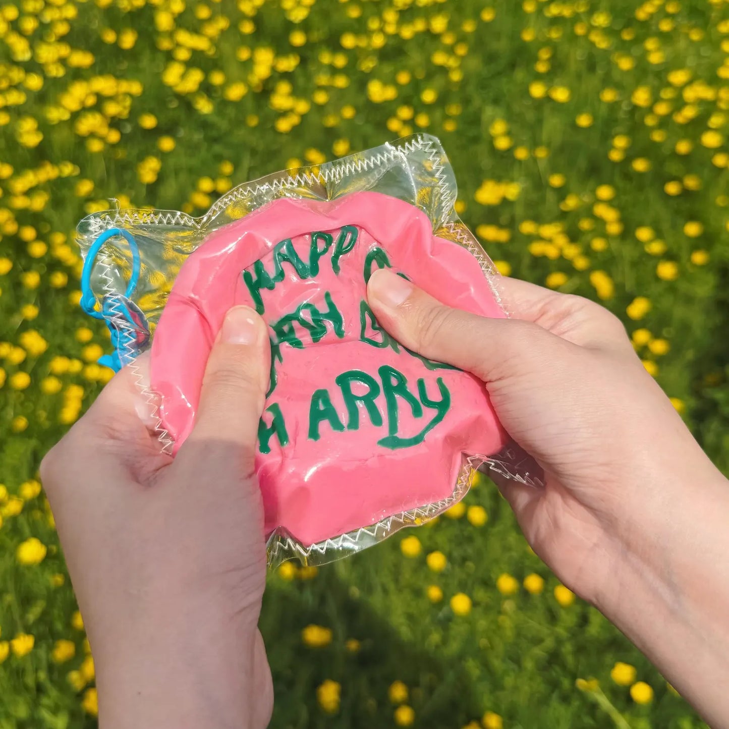 Taba Squishy Harry Birthday Cake